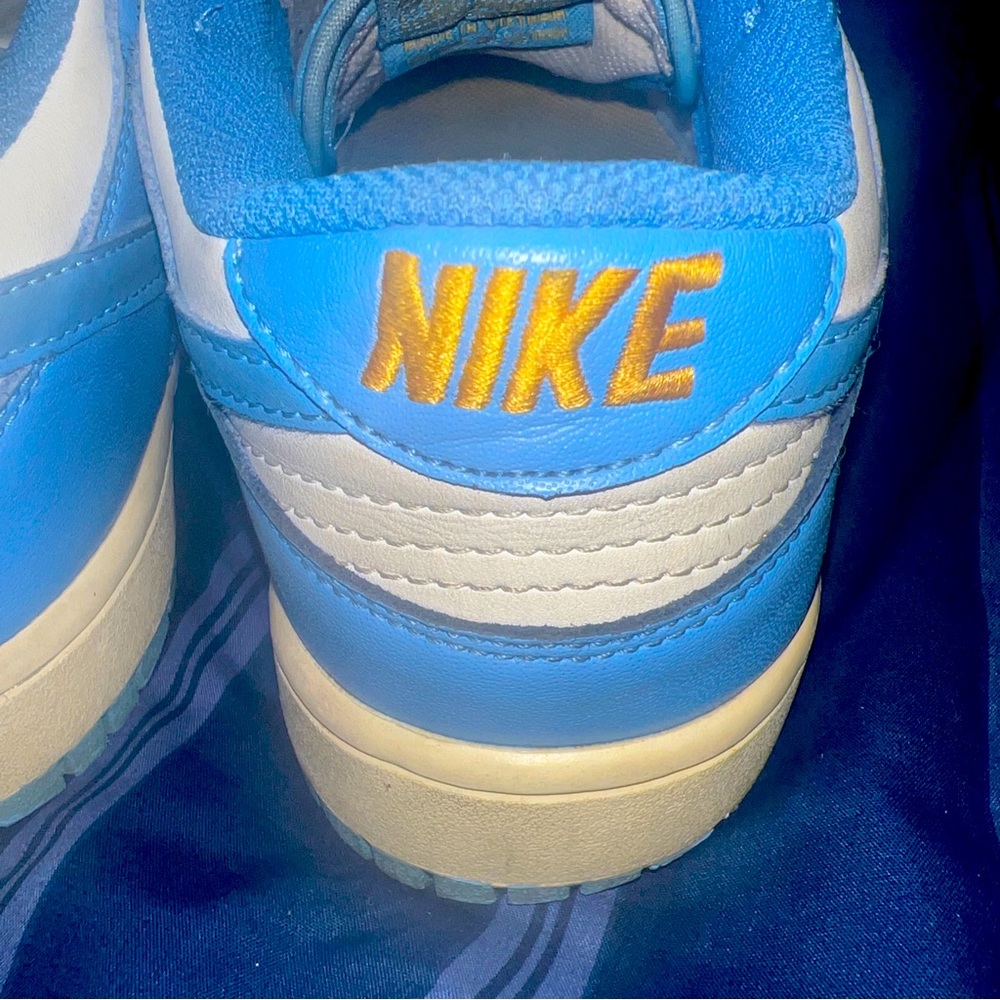 Nike dunk coast low